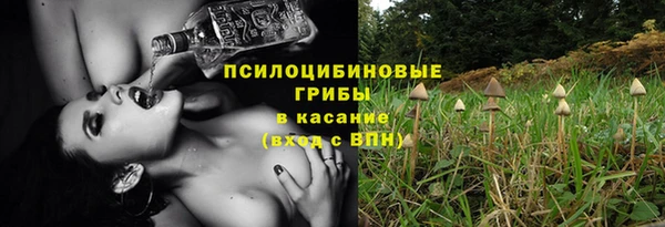соль ск Майский